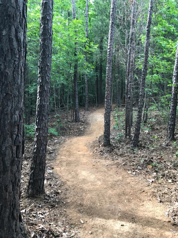 Anne Springs Close Greenway Phase IV Long Cane Trails