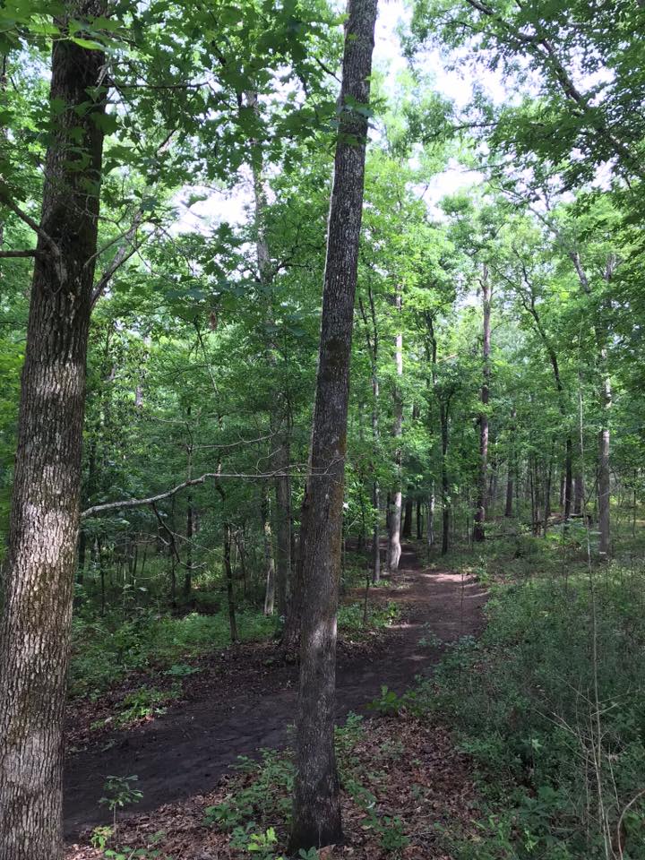 Hitchcock Woods Long Cane Trails