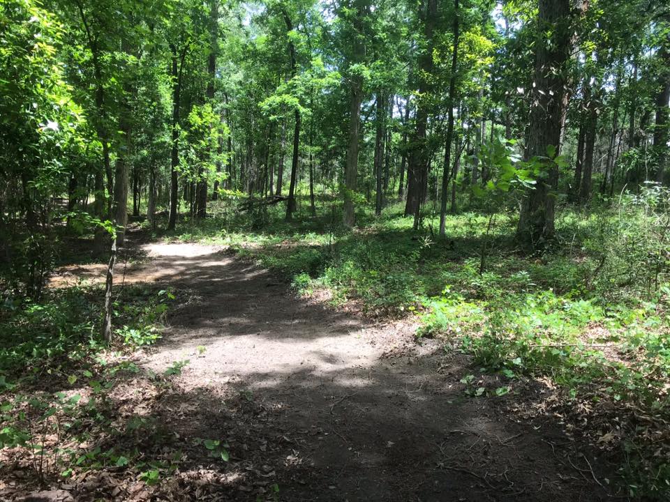 Hitchcock Woods Long Cane Trails